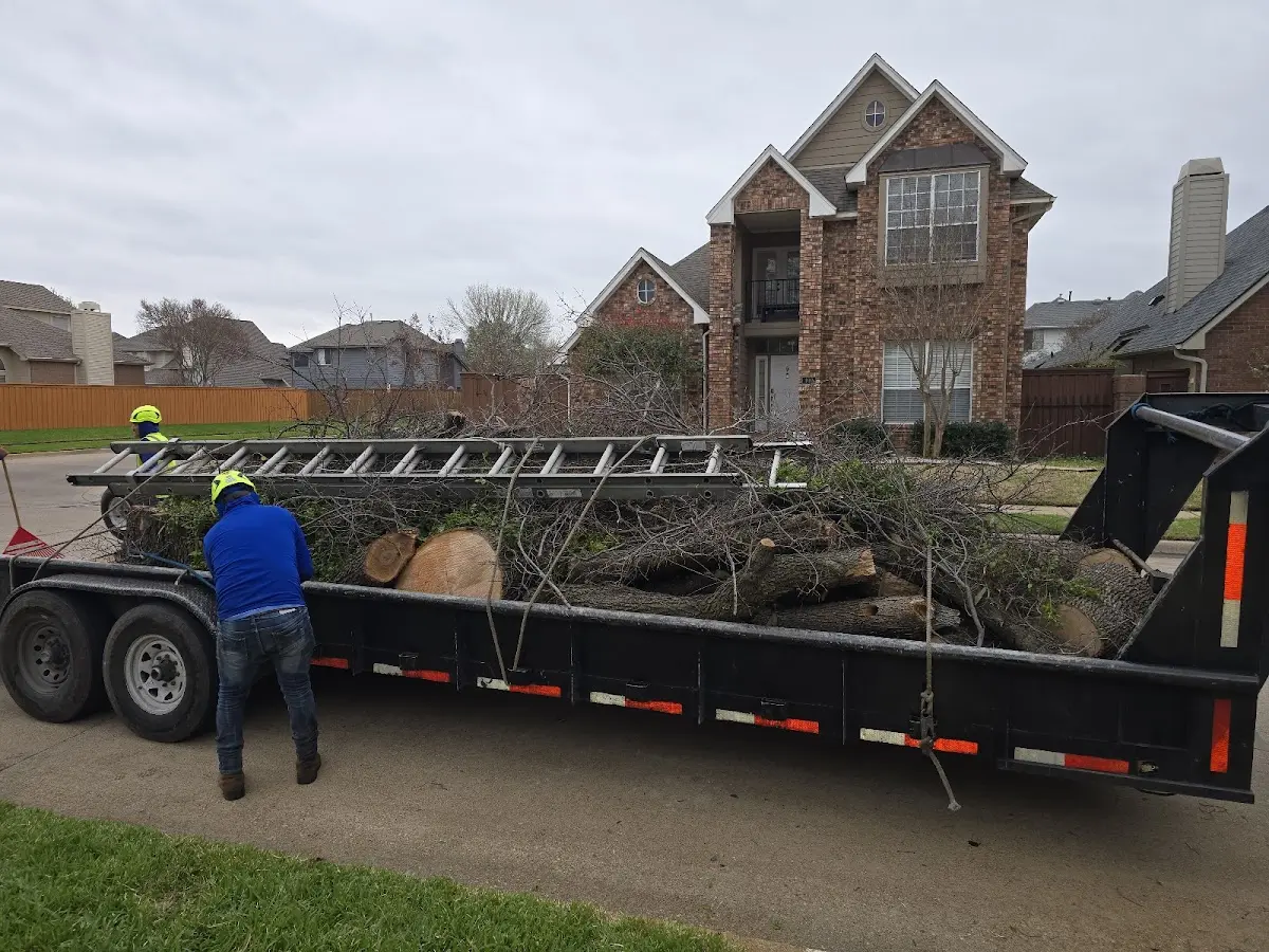 Expert Lot Clearing with proper safety equipment in Mc Millan